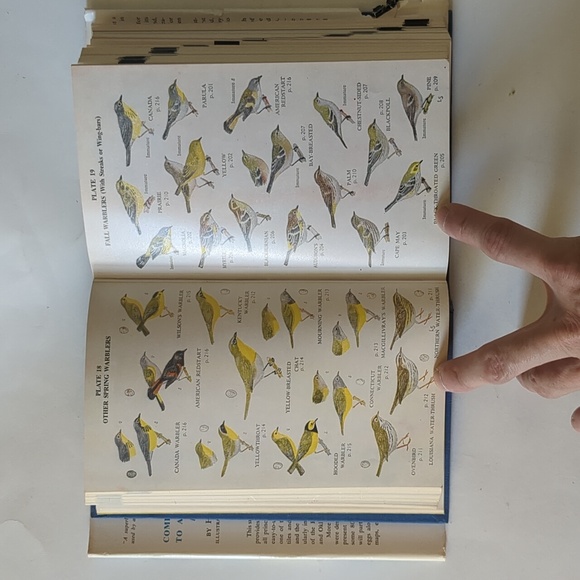 Complete Field Guide to American Wildlife - 1959 - Picture 10 of 15